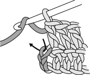 Double Crochet Stitch Step 5