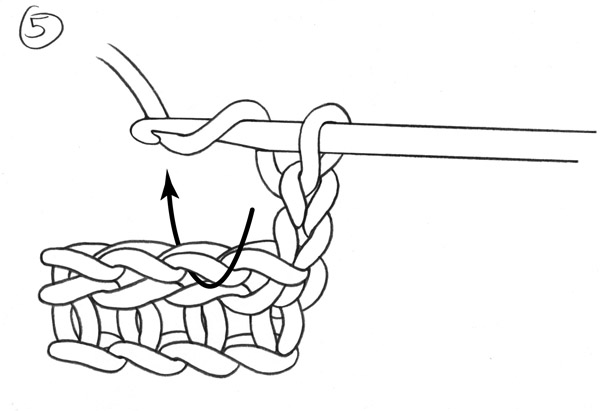 Half Double Crochet Stitch - Step 5
